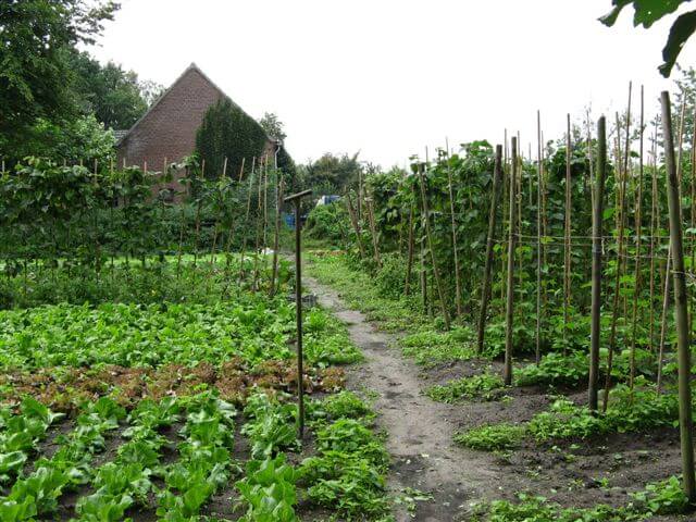 2linden biologische tuinderij